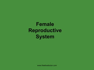 Female Reproductive System www.freelivedoctor.com 