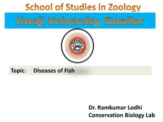 Topic: Diseases of Fish
Dr. Ramkumar Lodhi
Conservation Biology Lab
 