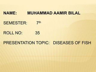 NAME: MUHAMMAD AAMIR BILAL
SEMESTER: 7th
ROLL NO: 35
PRESENTATION TOPIC: DISEASES OF FISH
 