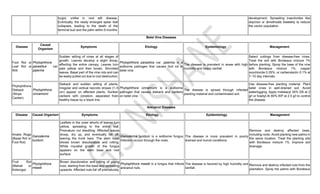 Anabe Roga Diseases of Fruit and Plantation crops .pdf