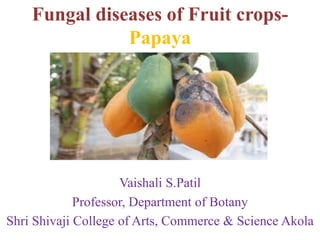 Fungal diseases of Fruit crops-
Papaya
Vaishali S.Patil
Professor, Department of Botany
Shri Shivaji College of Arts, Commerce & Science Akola
 