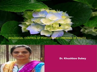 Dr. Khushboo Dubey
BIOLOGICAL CONTROL OF POST-HARVEST DISEASES OF FRUITS
 
