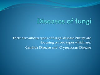 there are various types of fungal disease but we are
focusing on two types which are:
Candida Disease and Crytococcus Disease
 