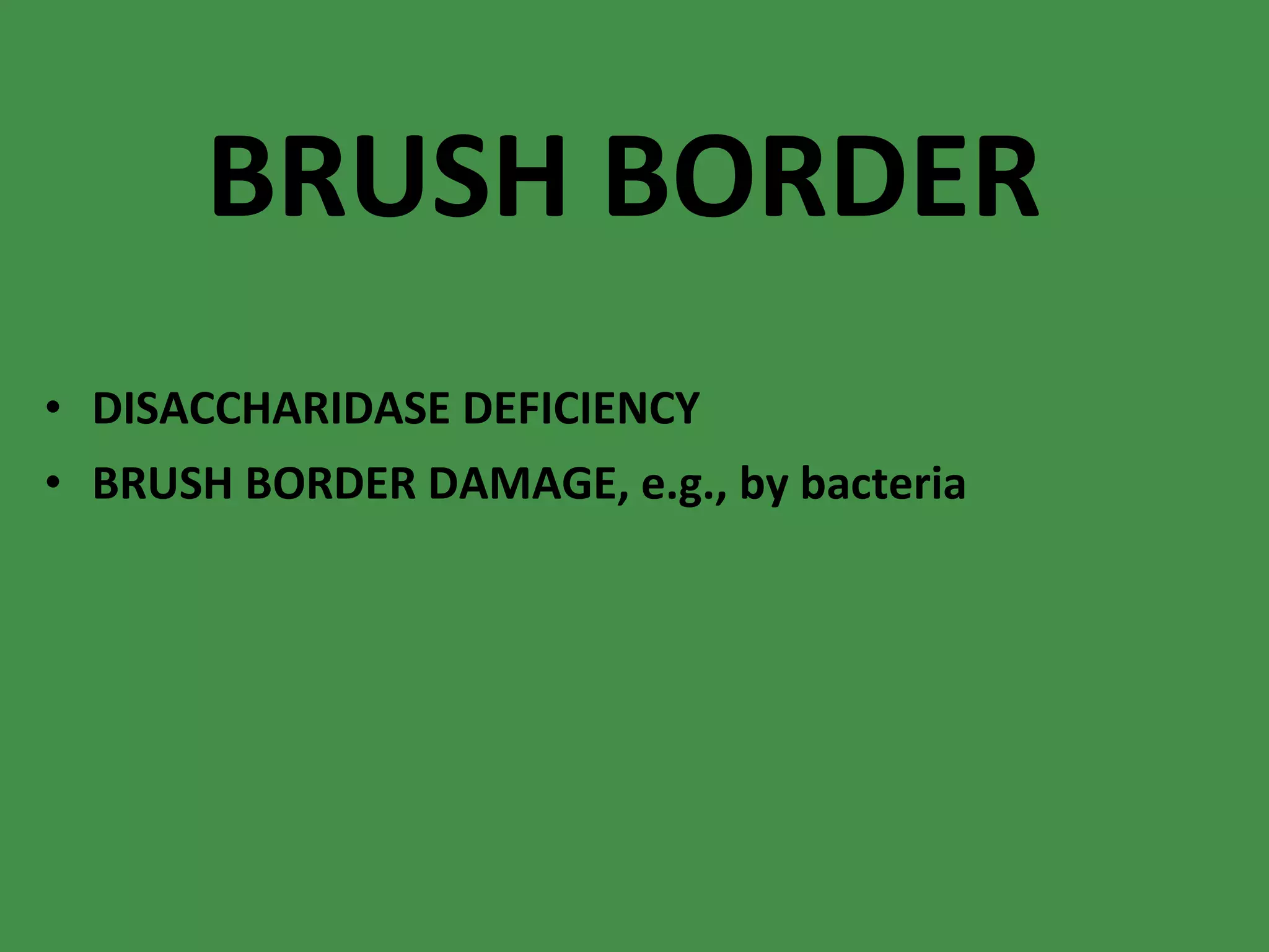 BRUSH BORDER DISACCHARIDASE DEFICIENCY BRUSH BORDER DAMAGE, e.g., by bacteria 