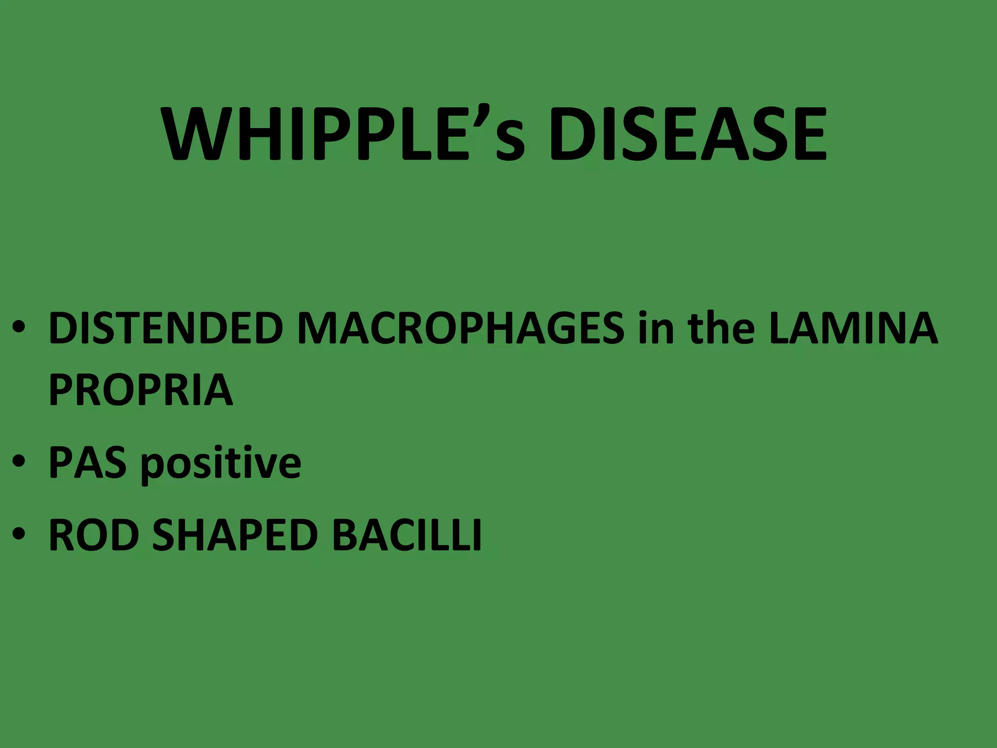 WHIPPLE’s DISEASE DISTENDED MACROPHAGES in the LAMINA PROPRIA PAS positive ROD SHAPED BACILLI 