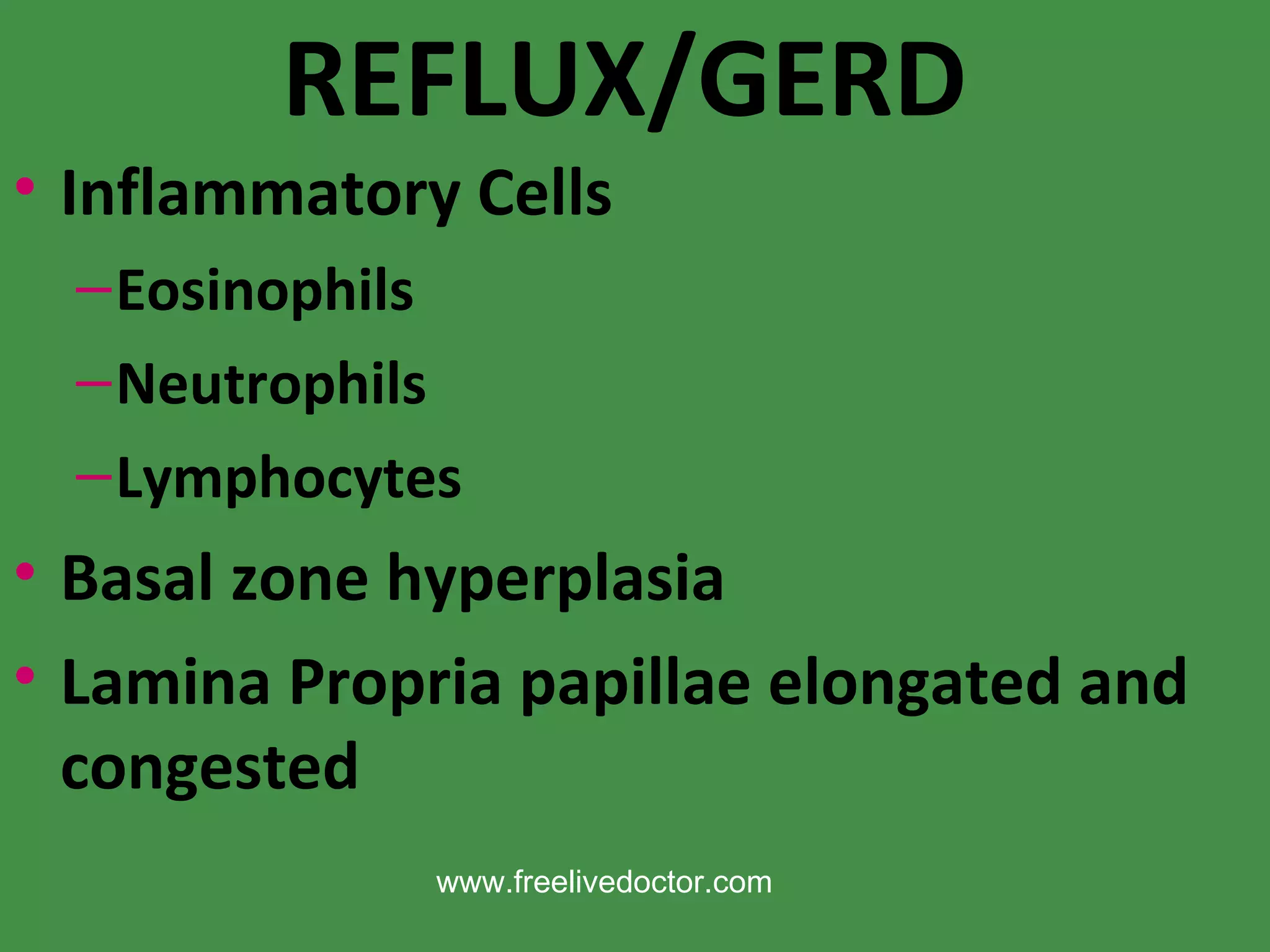 REFLUX/GERD Inflammatory Cells Eosinophils Neutrophils Lymphocytes Basal zone hyperplasia Lamina Propria papillae elongated and congested www.freelivedoctor.com 