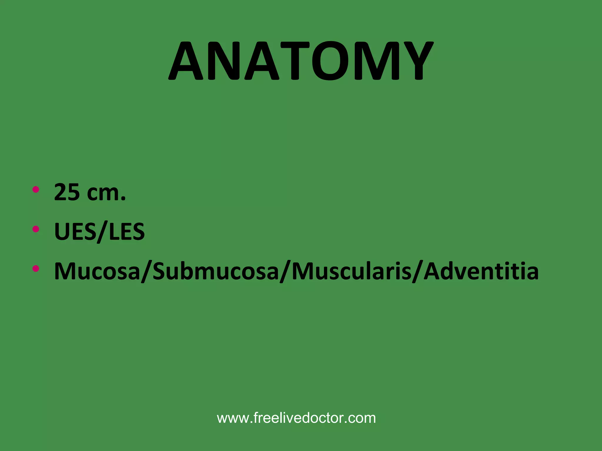 ANATOMY 25 cm. UES/LES Mucosa/Submucosa/Muscularis/Adventitia www.freelivedoctor.com 