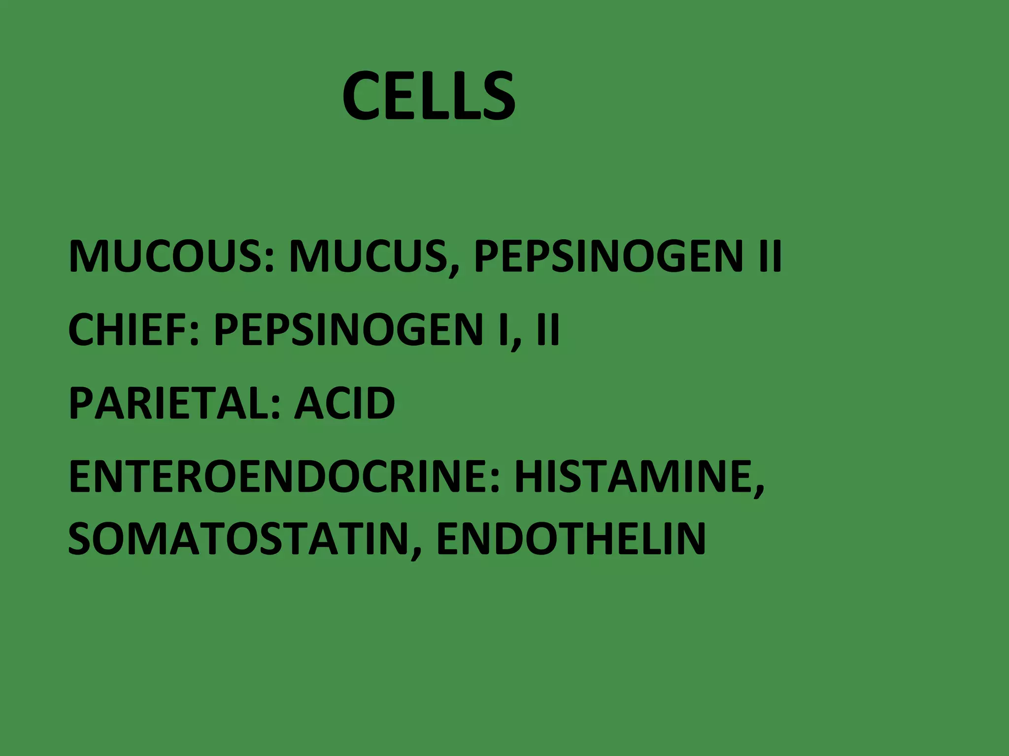 CELLS MUCOUS: MUCUS, PEPSINOGEN II CHIEF: PEPSINOGEN I, II PARIETAL: ACID ENTEROENDOCRINE: HISTAMINE, SOMATOSTATIN, ENDOTHELIN 