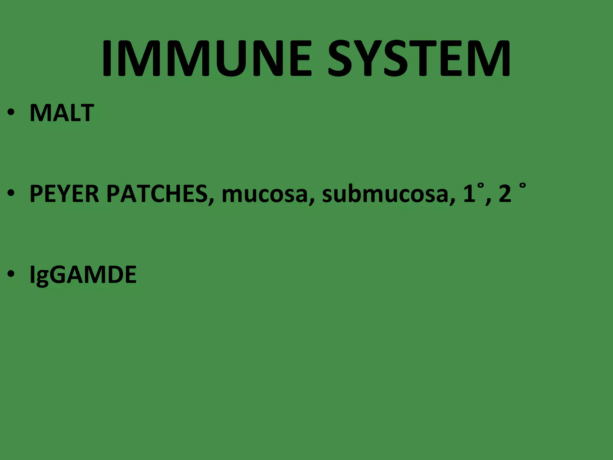 IMMUNE SYSTEM MALT PEYER PATCHES, mucosa, submucosa, 1˚, 2 ˚ IgGAMDE 