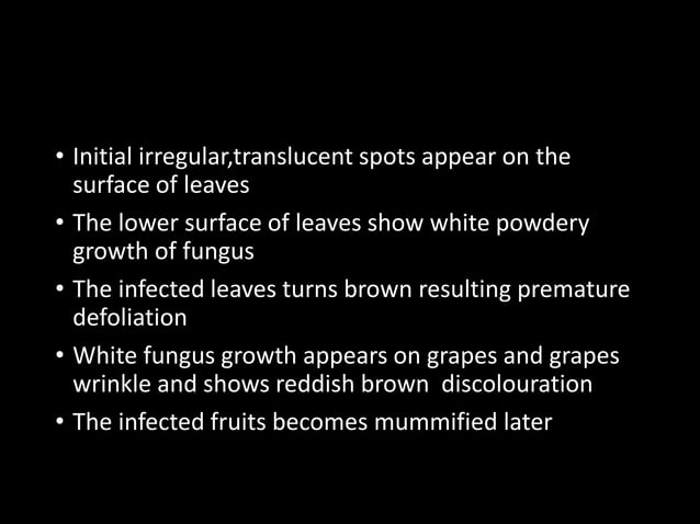 Image showcasing Diseases of grapes | PPTX | Gardening | Home & Garden