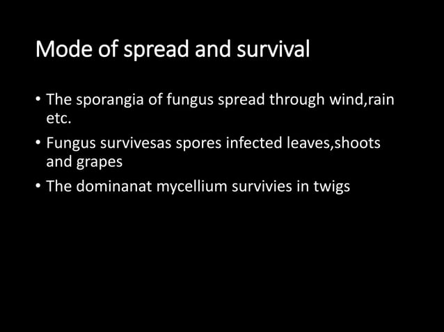Image showcasing Diseases of grapes | PPTX | Gardening | Home & Garden