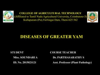 DISEASES OF GREATER YAM
COLLEGE OF AGRICULTURAL TECHNOLOGY
(Affiliated to Tamil Nadu Agricultural University, Coimbatore-3)
Kullapuram (Po),ViaVaigai Dam, Theni-625 562
STUDENT
Miss. SOUNDARI A
ID. No. 2015021121
COURSE TEACHER
Dr. PARTHASARATHY S
Asst. Professor (Plant Pathology)
 