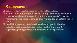 Diseases of guavaa | PPTX