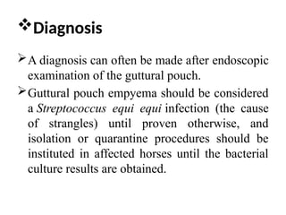 Diseases of Guttural Pouch in Horses.pptx