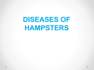 DISEASES OF
HAMPSTERS
 