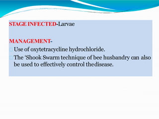 STAGE INFECTED-Larvae
MANAGEMENT-
Use of oxytetracycline hydrochloride.
The ‘Shook Swarm technique of bee husbandry can also
be used to effectively control thedisease.
 