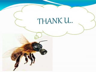 Diseases of honey bees 