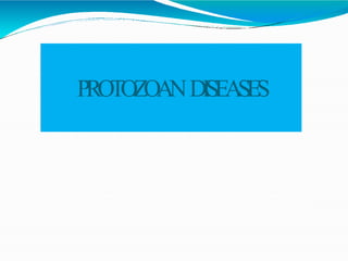 PROTOZOANDISEASES
 