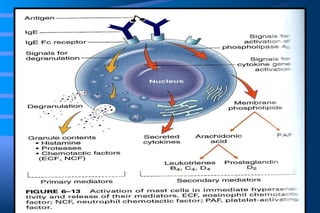 Diseases Of Immunity | PPT