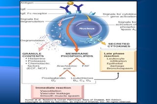 Diseases Of Immunity | PPT