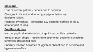 Iris signs -
Loss of normal pattern - occurs due to oedema.
Changes in iris colour due to hyperpigmentation and
depigmentation.
Posterior synechiae - adhesions b/w posterior surface of iris &
anterior part of lens.
Pupillary signs –
Narrow pupil - due to irritation of sphincter pupillae by toxins.
Irregular pupil shape - results from segmental posterior synechiae
formation. [festooned pupil]
Pupillary reaction becomes sluggish or absent due to oedema and
hyperaemia of iris.
 