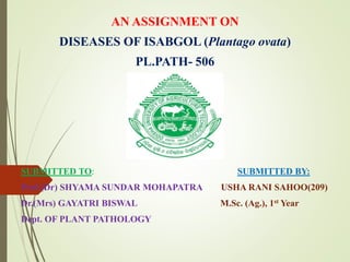 AN ASSIGNMENT ON
DISEASES OF ISABGOL (Plantago ovata)
PL.PATH- 506
SUBMITTED TO: SUBMITTED BY:
Prof.(Dr) SHYAMA SUNDAR MOHAPATRA USHA RANI SAHOO(209)
Dr.(Mrs) GAYATRI BISWAL M.Sc. (Ag.), 1st Year
Dept. OF PLANT PATHOLOGY
 