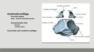 A presentation on Diseases of larynx.pptx