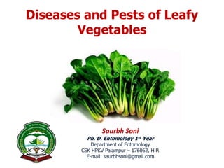 Saurbh Soni
Ph. D. Entomology 1st Year
Department of Entomology
CSK HPKV Palampur – 176062, H.P.
E-mail: saurbhsoni@gmail.com
Diseases and Pests of Leafy
Vegetables
 