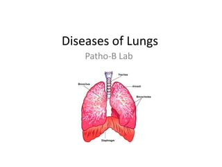Diseases of Lungs Patho-B Lab 