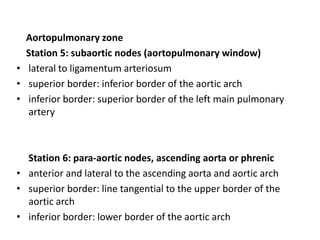 Ap Window Node Diseases of lymphatic system | PPTX