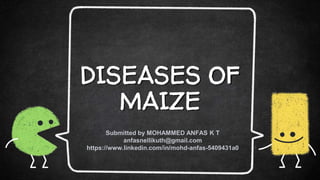 DISEASES OF
MAIZE
Submitted by MOHAMMED ANFAS K T
anfasnellikuth@gmail.com
https://www.linkedin.com/in/mohd-anfas-5409431a0
 