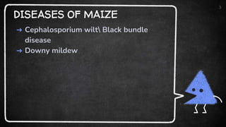 DISEASES OF MAIZE
➜ Cephalosporium wilt Black bundle
disease
➜ Downy mildew
3
 
