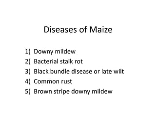 Diseases of Maize
1) Downy mildew
2) Bacterial stalk rot
3) Black bundle disease or late wilt
4) Common rust
5) Brown stripe downy mildew
 