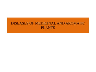DISEASES OF MEDICINAL AND AROMATIC
PLANTS
 