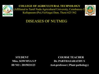 COLLEGE OFAGRICULTURAL TECHNOLOGY
(Affiliated to Tamil Nadu Agricultural University, Coimbatore-3)
Kullapuram (Po),ViaVaigai Dam, Theni-625 562
DISEASES OF NUTMEG
STUDENT COURSE TEACHER
Miss. SOWMYA S P Dr. PARTHASARATHY S
ID NO : 2015021123 Asst.professor ( Plant pathology)
 