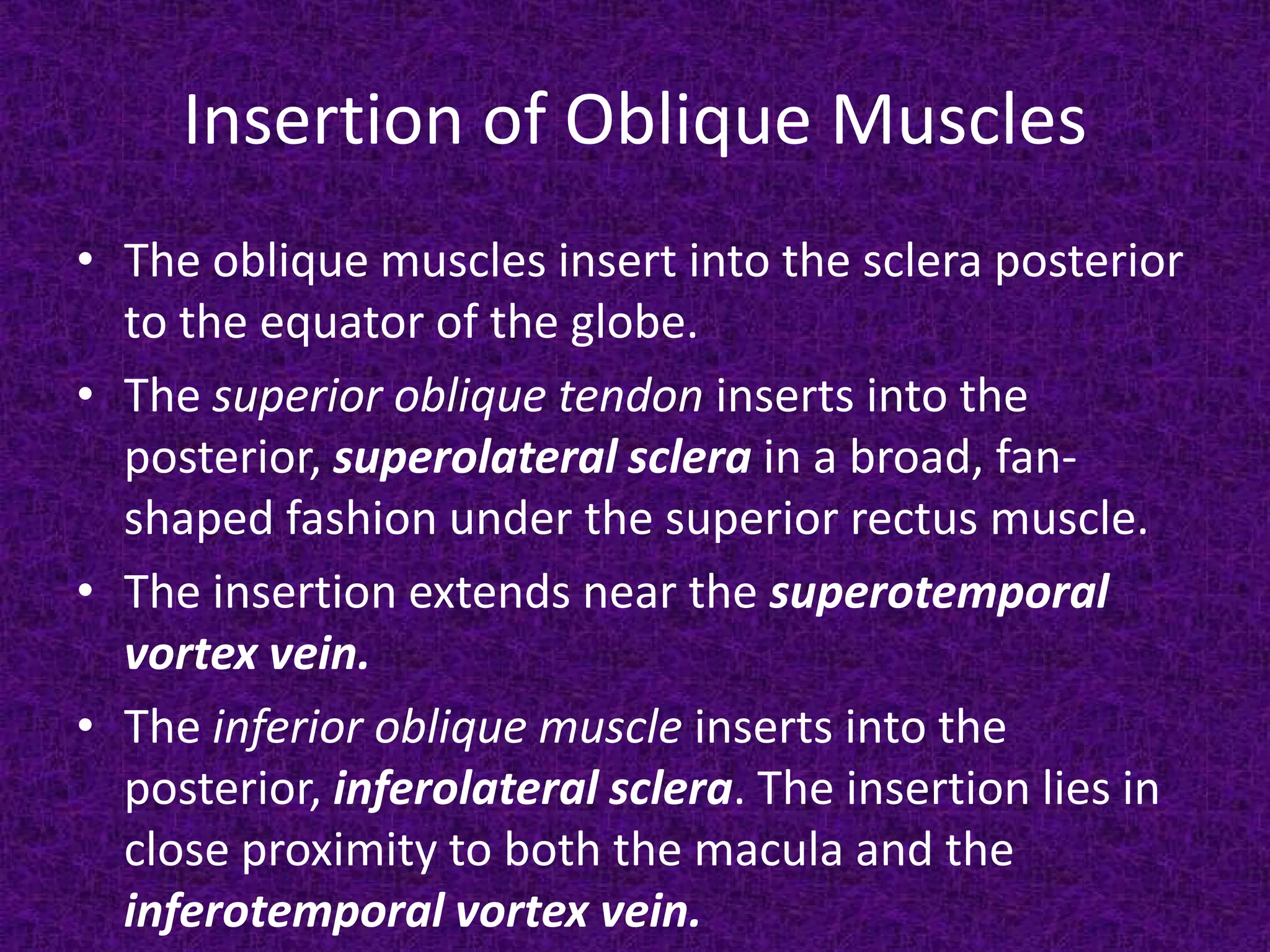 Insertion of Oblique Muscles
• The oblique muscles insert into the sclera posterior
to the equator of the globe.
• The superior oblique tendon inserts into the
posterior, superolateral sclera in a broad, fanshaped fashion under the superior rectus muscle.
• The insertion extends near the superotemporal
vortex vein.
• The inferior oblique muscle inserts into the
posterior, inferolateral sclera. The insertion lies in
close proximity to both the macula and the
inferotemporal vortex vein.

 