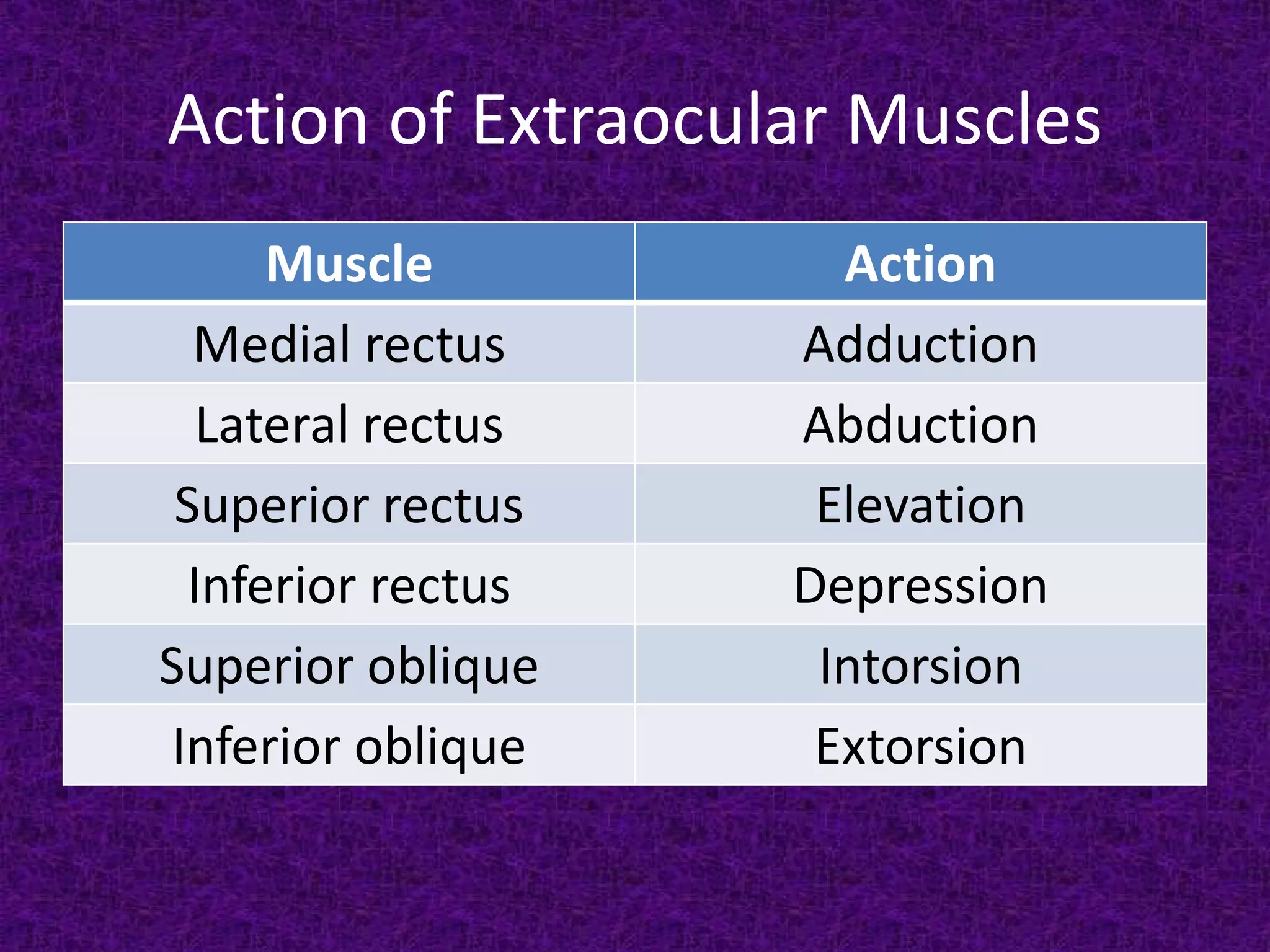 Action of Extraocular Muscles
Muscle
Medial rectus
Lateral rectus
Superior rectus
Inferior rectus
Superior oblique
Inferior oblique

Action
Adduction
Abduction
Elevation
Depression
Intorsion
Extorsion

 