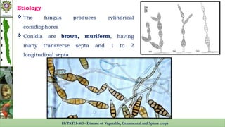 Diseases of okra, cause, etiology, management | PPTX