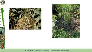 Diseases of okra, cause, etiology, management | PPTX