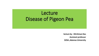 Lecture
Disease of Pigeon Pea
lecture by - Dhritiman Das
Assistant professor
SOSA ,Adamas University
 