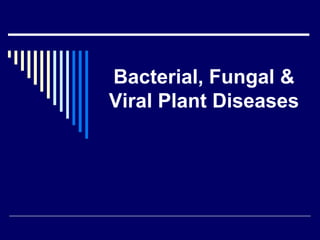 Bacterial, Fungal &
Viral Plant Diseases
 