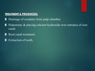 TREATMENT & PROGNOSIS:
Drainage of exudates from pulp chamber.
Pulpotomy & placing calcium hydroxide over entrance of root...