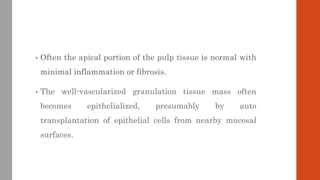 • Often the apical portion of the pulp tissue is normal with
minimal inflammation or fibrosis.
• The well-vascularized gra...