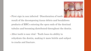 • First sign in non infected : Discoloration of tooth due to
result of the decomposing tissue debris and breakdown
product...