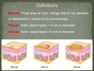 Diseases of skin | PPTX