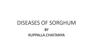 DISEASES OF SORGHUM
BY
KUPPALLA.CHAITANYA
 