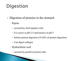 Diseases of stomuch 1.pptx