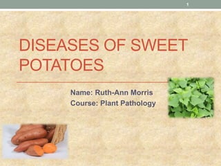 DISEASES OF SWEET
POTATOES
Name: Ruth-Ann Morris
Course: Plant Pathology
1
 