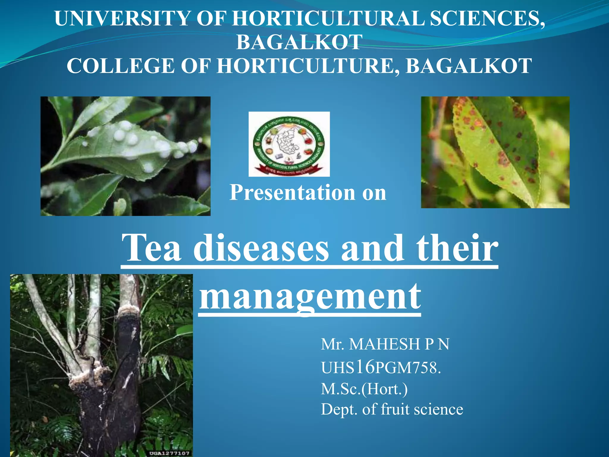 Tea Pathogens Diseases of tea | PPTX