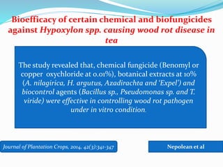 Journal of Plantation Crops, 2014, 42(3):341-347
Bioefficacy of certain chemical and biofungicides
against Hypoxylon spp. causing wood rot disease in
tea
Nepolean et al
The study revealed that, chemical fungicide (Benomyl or
copper oxychloride at 0.01%), botanical extracts at 10%
(A. nilagirica, H. argutus, Azadirachta and ‘Expel’) and
biocontrol agents (Bacillus sp., Pseudomonas sp. and T.
viride) were effective in controlling wood rot pathogen
under in vitro condition.
 